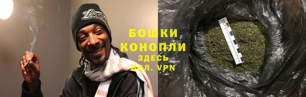 бошки Алексин