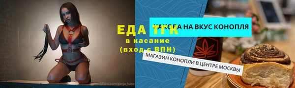 индика Абаза