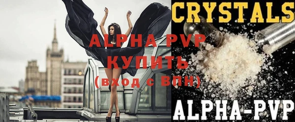 индика Абаза