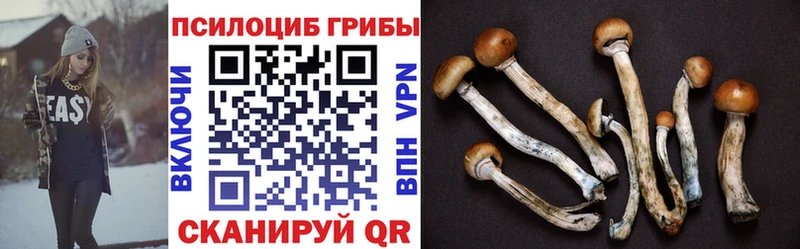 Псилоцибиновые грибы ЛСД  Жуковский 